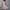 Purple, variant on HOMBOM Green Dresses for Women 2024 Summer Mini Sundress Crew Neck Floral Leaf Sleeve Sleeveless Spring Dresses L