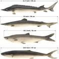 thumbnail image 2 of 4 PCS 22 inch Fake Big Fish Decoration Artificial Shark Chinese Sturgeon Saury Model for Home Kitchen Garden Hotel Restaurant Display, 2 of 3