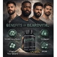 thumbnail image 5 of BEARDVITAL Beard Growth Supplement for Men – Beard Vitamins with Biotin, Collagen, Keratin, MSM, Hyaluronic Acid & Zinc – Supports Fuller Thicker Beard, Hair, Skin & Nails – Men’s Beard Vitamins, 5 of 9