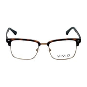 Vivid 257 Designer Reading Glasses in Tortoise +3.00
