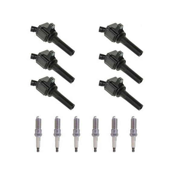 Ignition Coil and Spark Plug Kit 12 Piece - Compatible with 2006 - 2009 Chevy Trailblazer 4.2L 6-Cylinder 2007 2008
