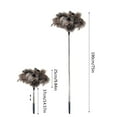 thumbnail image 4 of Extendable Ostrich Feather Duster, 75 inches Scalable Feather Collector Fluffy Long Handle Reusable, Ceiling Fan Cleaner Duster for Cleaning, Ceiling Fan Chandeliers High Ceiling Blinds Furniture, 4 of 9