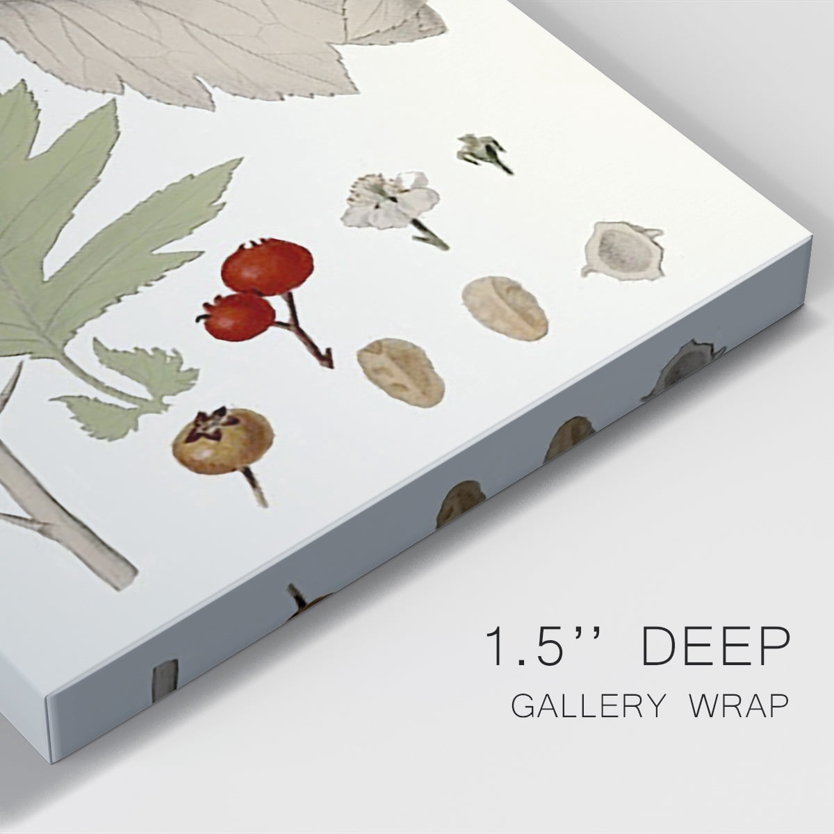 Leaves & Berries II Premium Gallery Wrapped Canvas - Ready to Hang