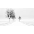 thumbnail image 2 of Tuinenga, Jacob 18x12 White Modern Wood Framed Museum Art Print Titled - My Tiny World, 2 of 4