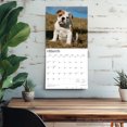 thumbnail image 4 of Bulldog Puppies | 2026 12x24" (Hanging) Wall Calendar | Plastic-Free | BrownTrout, 4 of 8