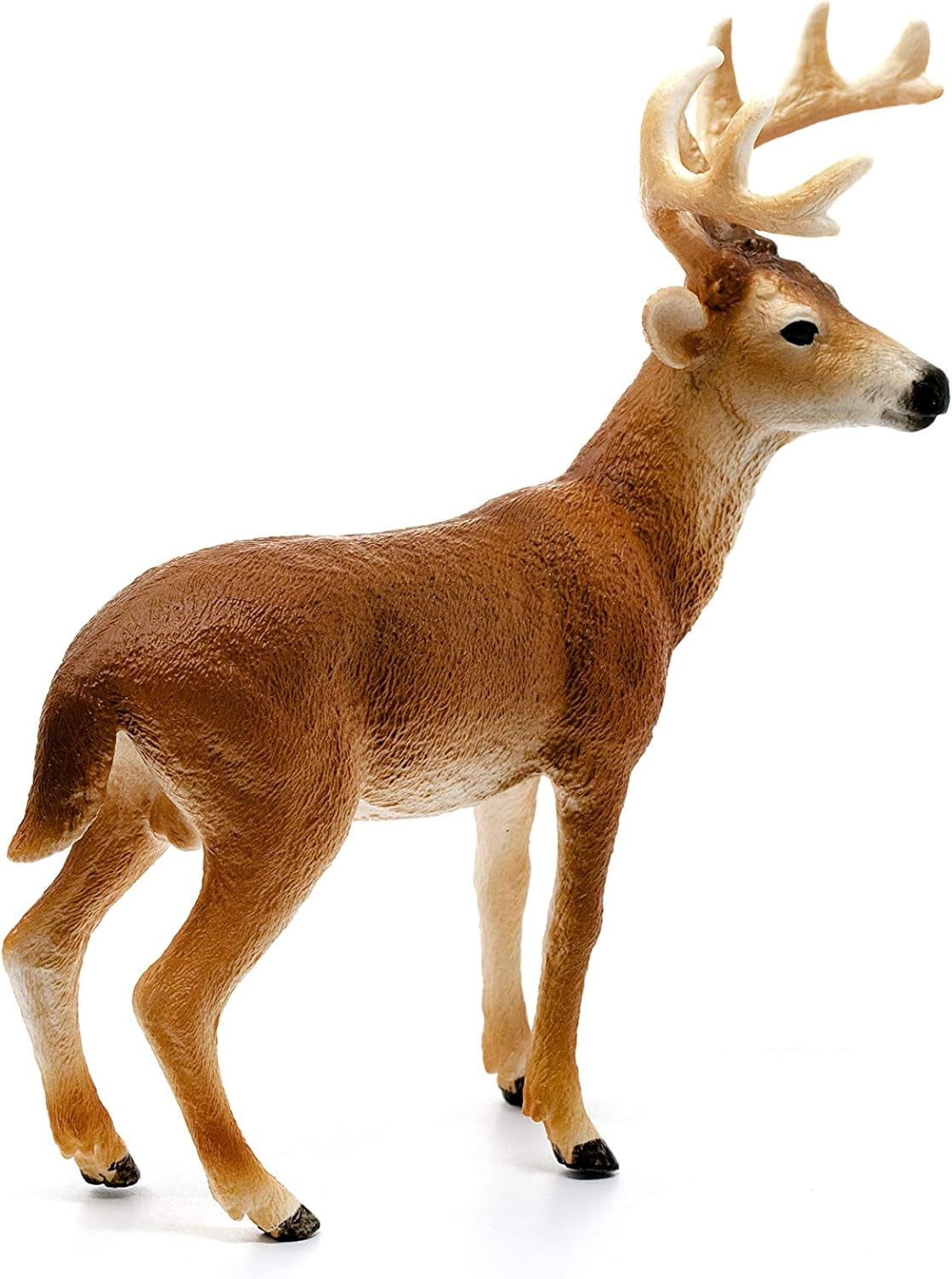 Schleich Wild Life - White-Tailed Buck Deer Figurine - Forest Animal Figures for Boys and Girls - Kids Ages 3+