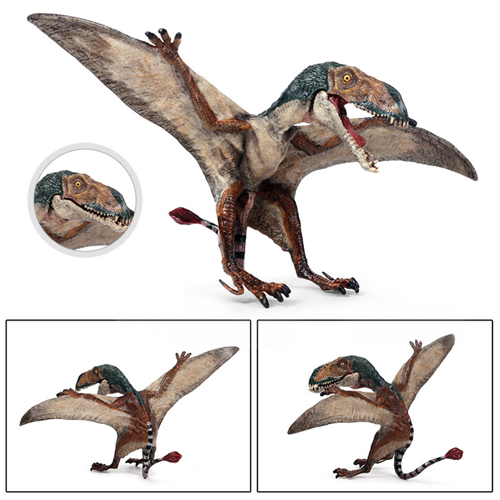 Jurassic Simulation Dinosaur World Pterosaur model new pteropterus pterodactyl children's solid plastic toy - image 5 of 7