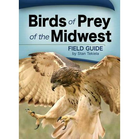 Birds of Prey of the Midwest (Best Bird Of Prey)