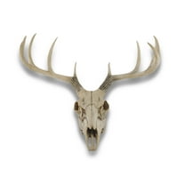 Zeckos 10 Point Buck Deer Skull Bust Wall Hanging