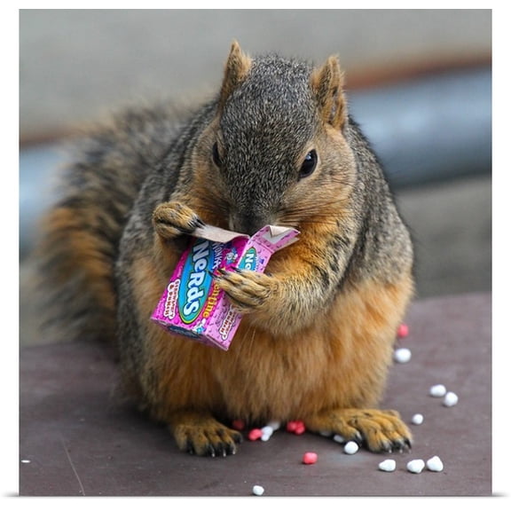 Great BIG Canvas Paul Marto Poster Print entitled Nerds