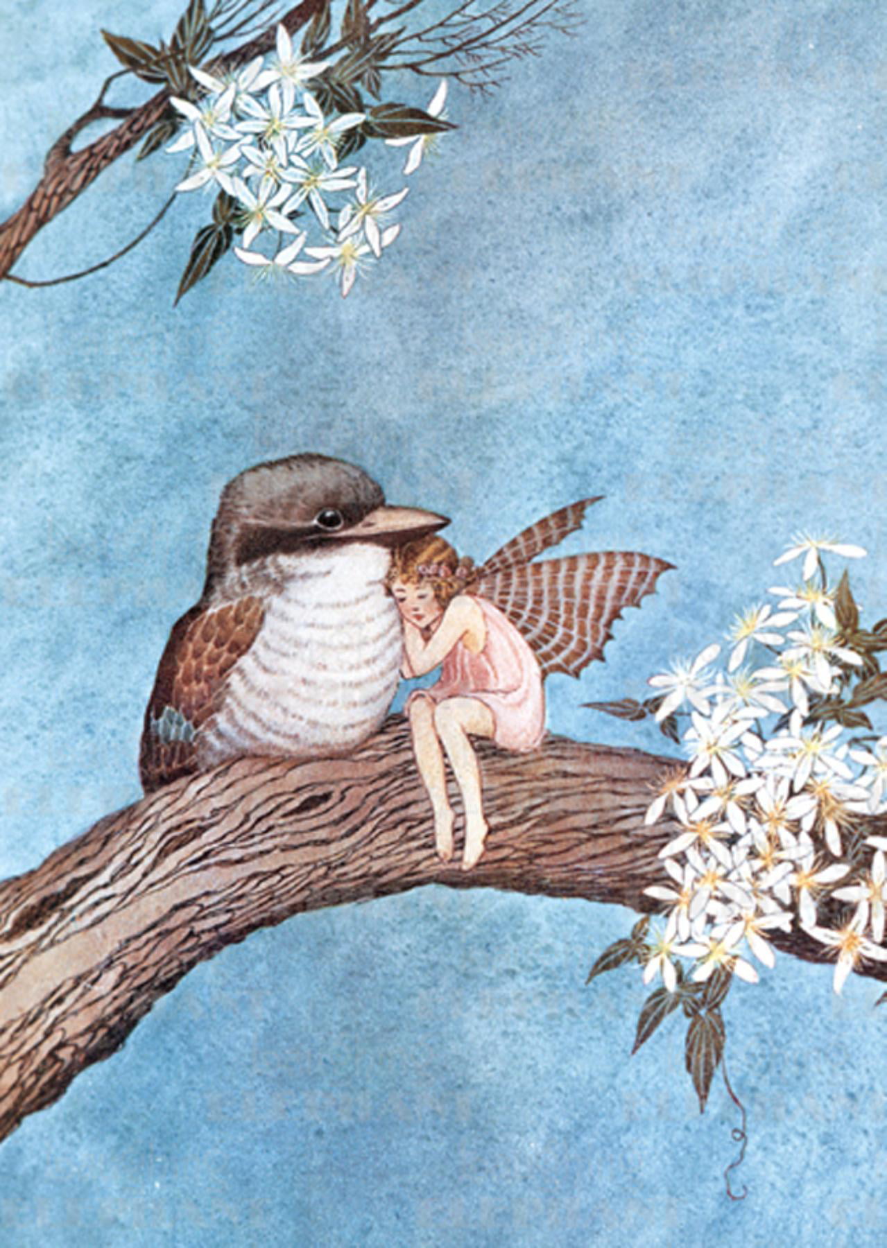 Fairies: Fairy & Bird Embracing - Fairy Greeting Card (Other) - Walmart