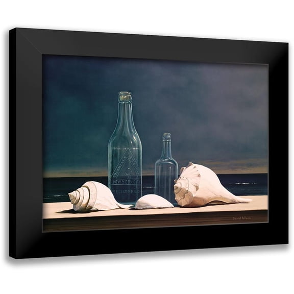 Pollera, Daniel 14x11 Black Modern Framed Museum Art Print Titled - Seaglass and Shells