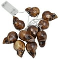 thumbnail image 1 of Luz de Halloween, cadena de luces LED con forma de calavera, decoración de Halloween con calavera, cadena de luces con forma de calavera hecha a mano con cuidado, 1 of 14