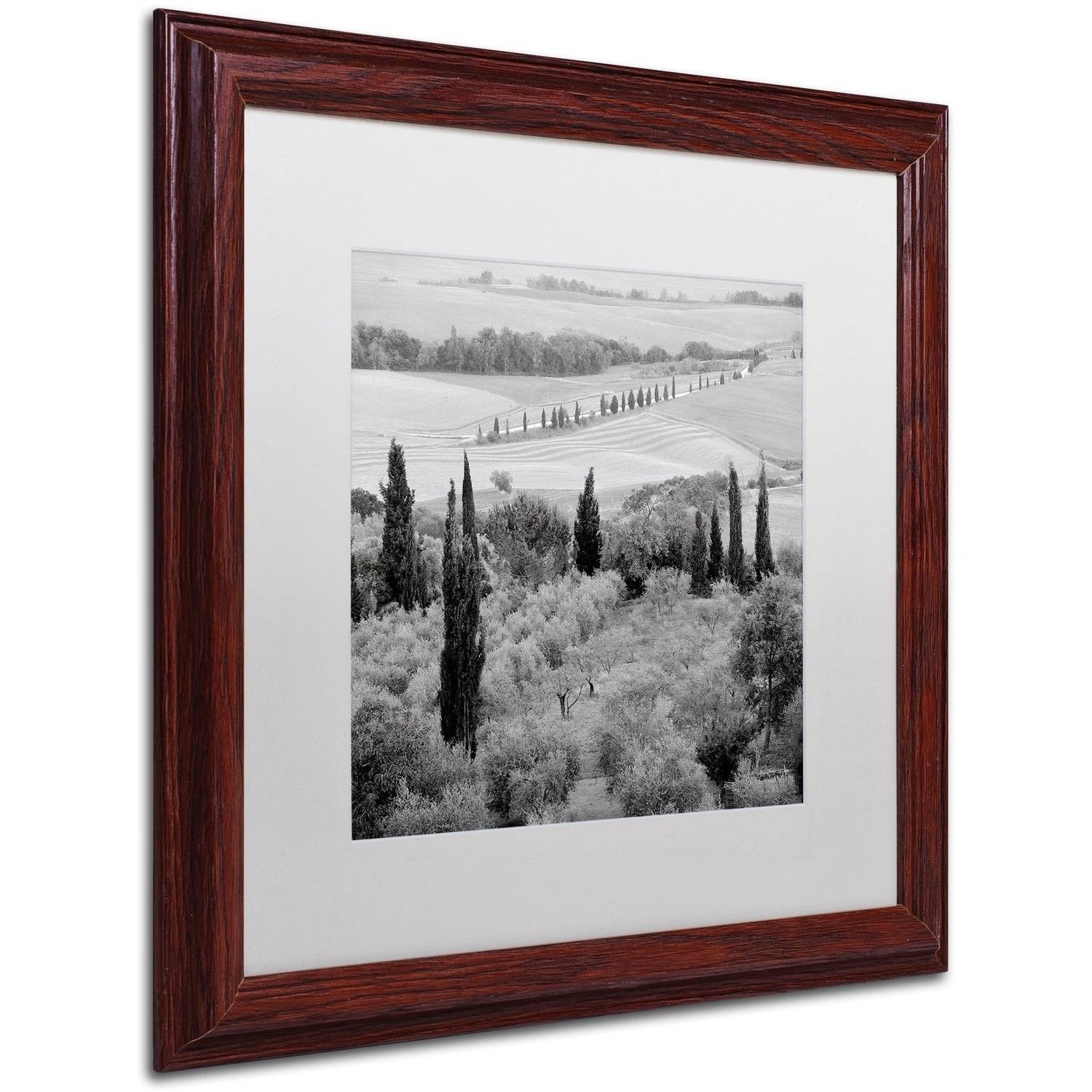 Trademark Fine Art "Tuscany X" Canvas Art by Alan Blaustein, White Matte, Wood Frame