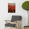 thumbnail image 2 of Red Tulip Fields Of Holland Netherlands Modern Oil Unframed Wall Art Print Poster Home Decor, 2 of 3