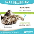 thumbnail image 5 of Raw Paws Natural Catnip Ball for Cats (6-ct) - Interactive Cat Toy for Indoor Cats - Cat Ball Toy - Kitten Toys - Cat Nip Ball Cat Toy - Cat Lick Ball - Cat Nip Cat Toys Balls - Catnip Ball Toy, 5 of 5