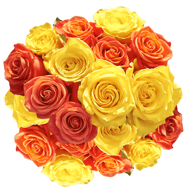 Heb Yellow Roses Yellow And Red Roses Bouquet