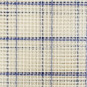 Zweigart Rug Canvas 24"X30" 3.75 Mesh-24"X30" Blue Checked