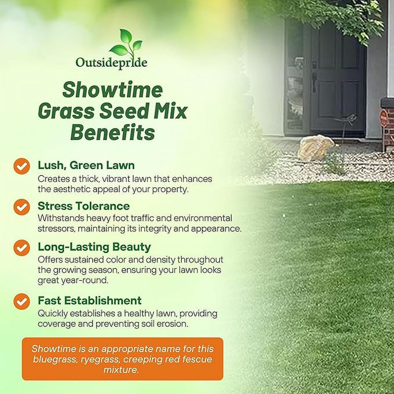 Outsidepride 10 lb. Perennial Rye Lawn Grass, Fine Fescue, & Kentucky Bluegrass Mix for Lawns & Sports Fields