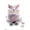 Premium Poster & Mount Bundle, variant on Cat - Funny Face Wall Poster, 14.725" x 22.375"