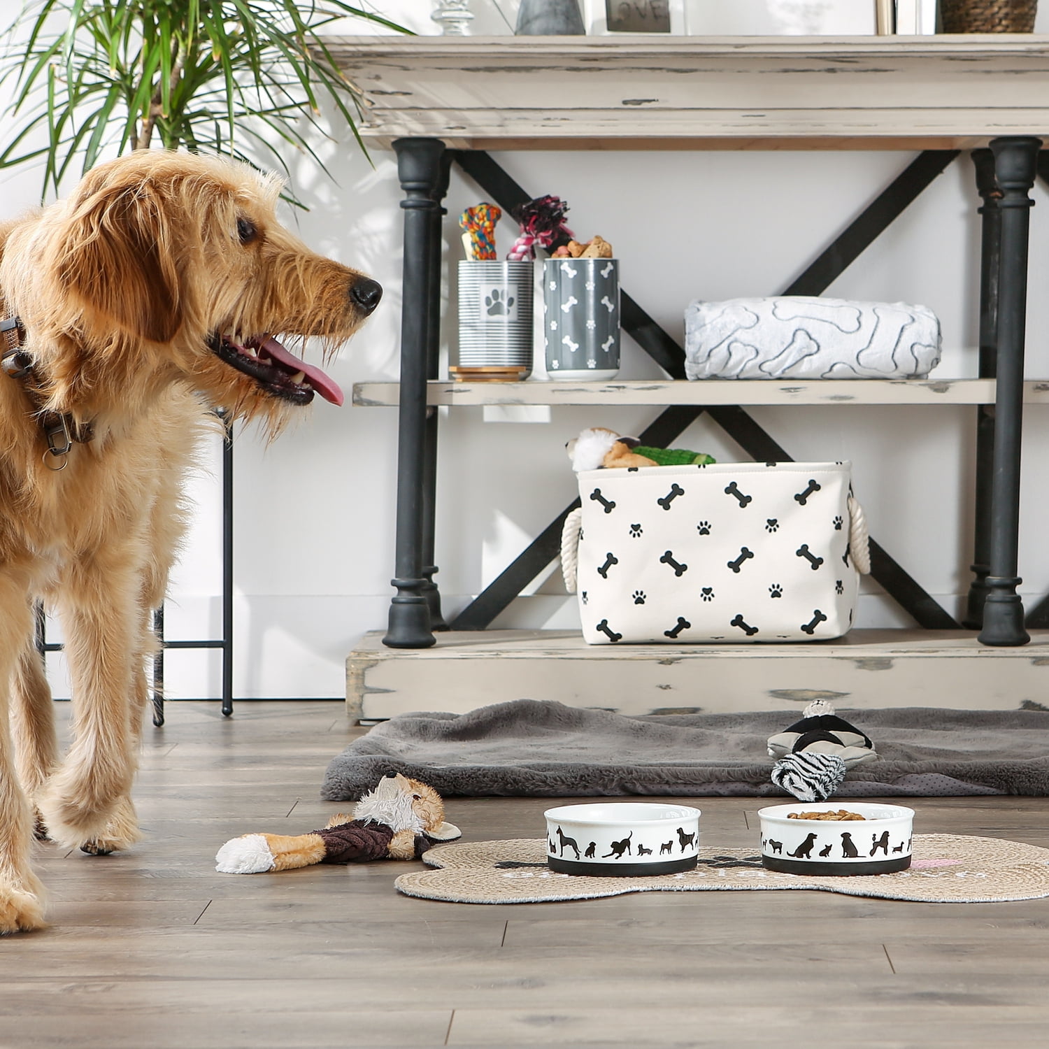 Bone Dry Ceramic Dog Bowl Set, Microwave & Dishwasher Safe, Medium, 6x2", Black/White, 2 Count