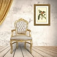 thumbnail image 3 of Vision Studio 17x24 Gold Ornate Wood Framed with Double Matting Museum Art Print Titled - Flourishing Foliage I, 3 of 4
