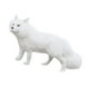 thumbnail image 5 of Decoración De Jardín De Piel Artificial Blanca - 14 "Ornamento De Jardín DYNWAVEMX Estatua animal artificial, 5 of 5