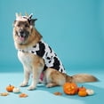 thumbnail image 2 of Vibrant Life Halloween Cow Costume for Dogs, Black and White, XL, 2 of 6