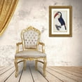 thumbnail image 3 of Levaillant, Francois 13x18 Gold Ornate Wood Framed with Double Matting Museum Art Print Titled - Toucan, 3 of 4