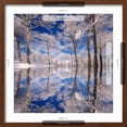 thumbnail image 5 of Art.com Dream in Blue Photographic Print by Philippe Sainte-Laudy, Brown Frame Wall Art, 21" x 21", 5 of 5