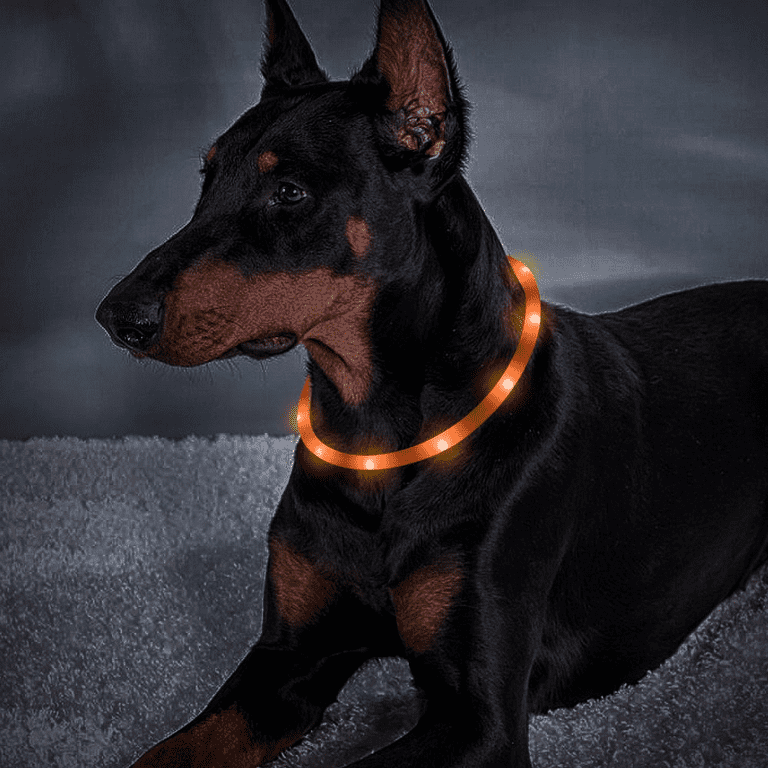 Usb light up dog ball top