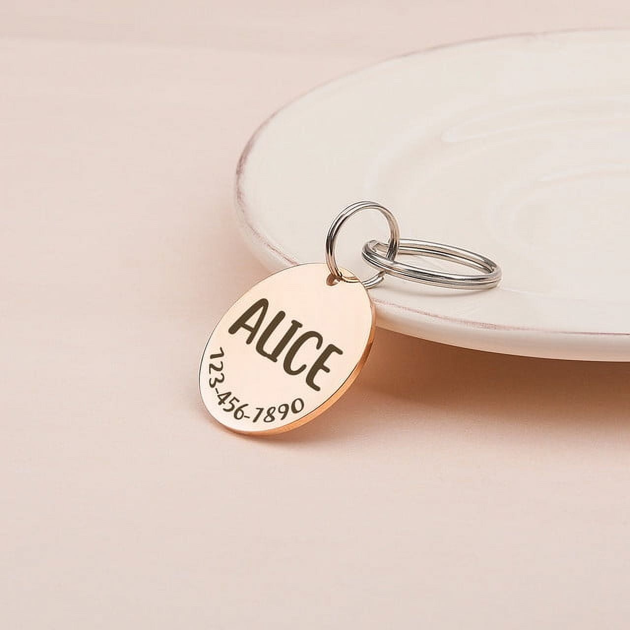 Anavia Stainless Steel Double Sided Round Name and Phone Number Engraved Dog & Cat ID Tag, Multi-color, M