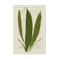 Trademark Fine Art 'Garden Ferns VI' Canvas Art by Vision Studio