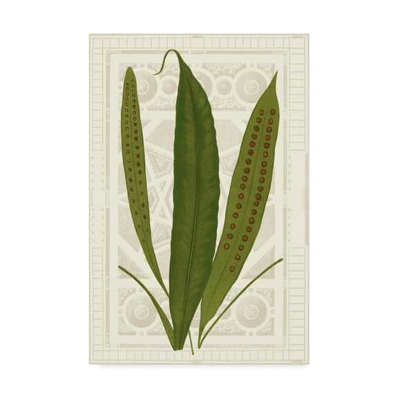 Trademark Fine Art 'Garden Ferns VI' Canvas Art by Vision Studio