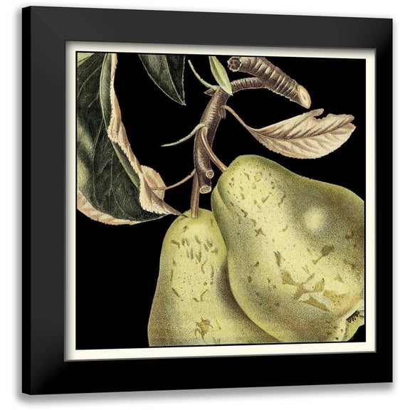 Vision Studio 12x12 Black Modern Framed Museum Art Print Titled - Dramatic Pear