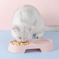thumbnail image 2 of El Animal Doméstico Que Alimenta Plástico 2 Del Cuenco Doble Colorea en 1 Platos Alimentador La Comida Gato, 2 of 8