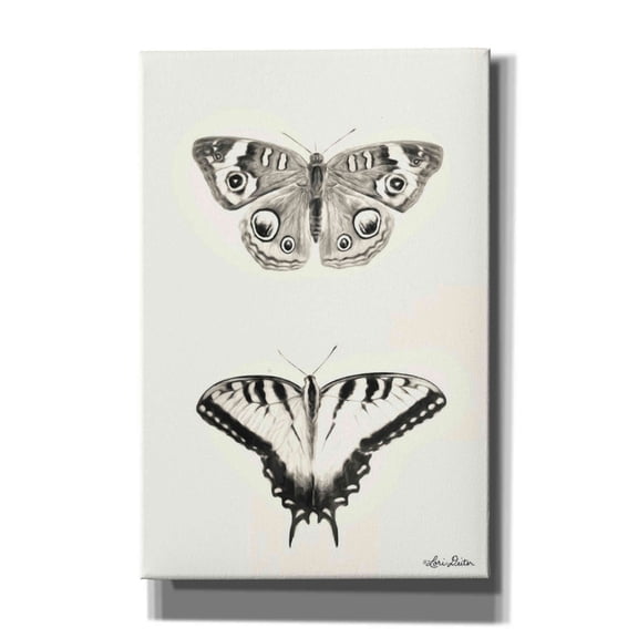Epic Graffiti 'Butterflies' by Lori Deiter, Canvas Wall Art, 40"x60"