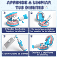 thumbnail image 2 of Kit De Juego De Doctora Dentista Didáctico Para Infantiles Malubero, Azul, 2 of 5