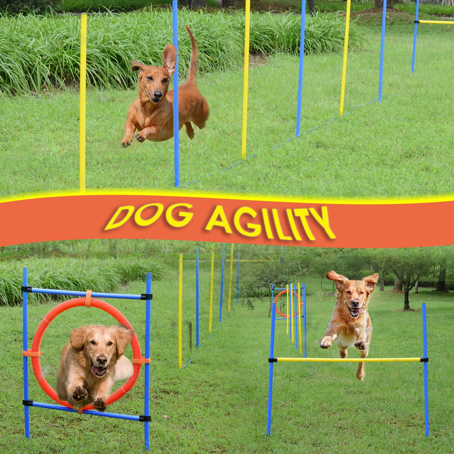 Kit de formation du0027agilité du0027obstacle pour chien Pet High Ring 