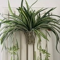 thumbnail image 4 of tzyudk 3 Pcs Artificial Spider Plant Hanging Greenery 23.6 Inch Fake Silk Flowers for Home Garden Office Wall Decoration Indoor Outdoor Use Plastic Multicolor, 4 of 6