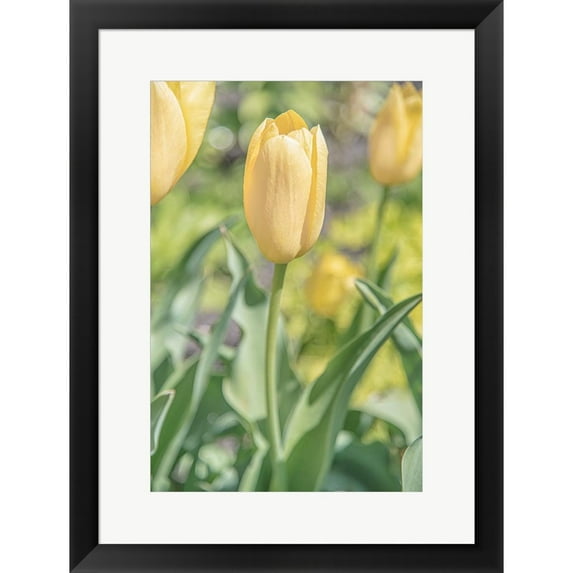 Great Art Now Obsequious Traditions by Pat DeLuca, Framed Wall Art, 18.75W x 24.75H
