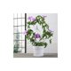 thumbnail image 5 of Enrejado de jardín de metal para plantas trepadoras, Soporte de planta de flores de metal Resistente al óxido Duradero para plantas en macetas Vides Soportes de flores, 5 of 5
