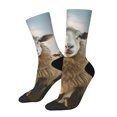 thumbnail image 1 of Fotbe Cute Prairie Sheep Herd Calcetas Largas con Estampado para Hombre y Mujer – Calcetas de Compresión Transpirables y Elásticas, Viajar y Uso Diario Talla 5-11, 1 of 6