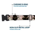 thumbnail image 5 of Warner Bros. Pet Collar, Dog Collar Plastic Buckle, Dobby Is Free 3 Dobby Poses Star Swirls Black Gold White, 8.5 to 12 Inches 0.5 Inch Wide, 5 of 8