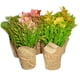 thumbnail image 1 of Maceta con planta artificial para decoración del hogar, oficina Storyland Storyland  7032, 1 of 3