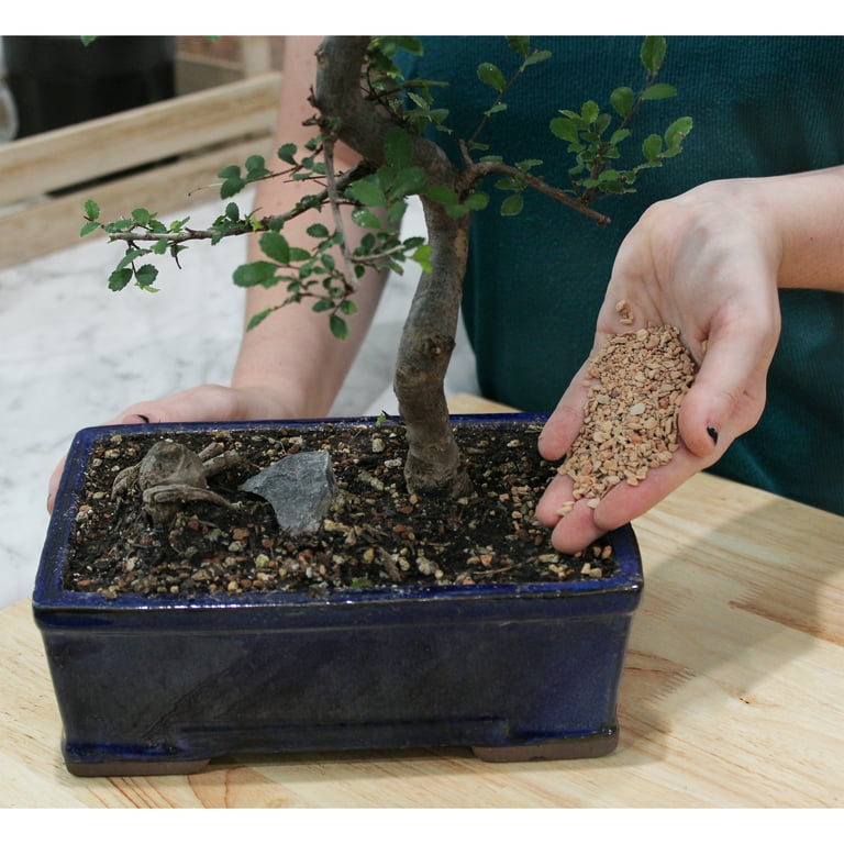 Akadama Premium Bonsai Soil. Comes in 2 Quarts or 4 Quarts Resealable Bag 
