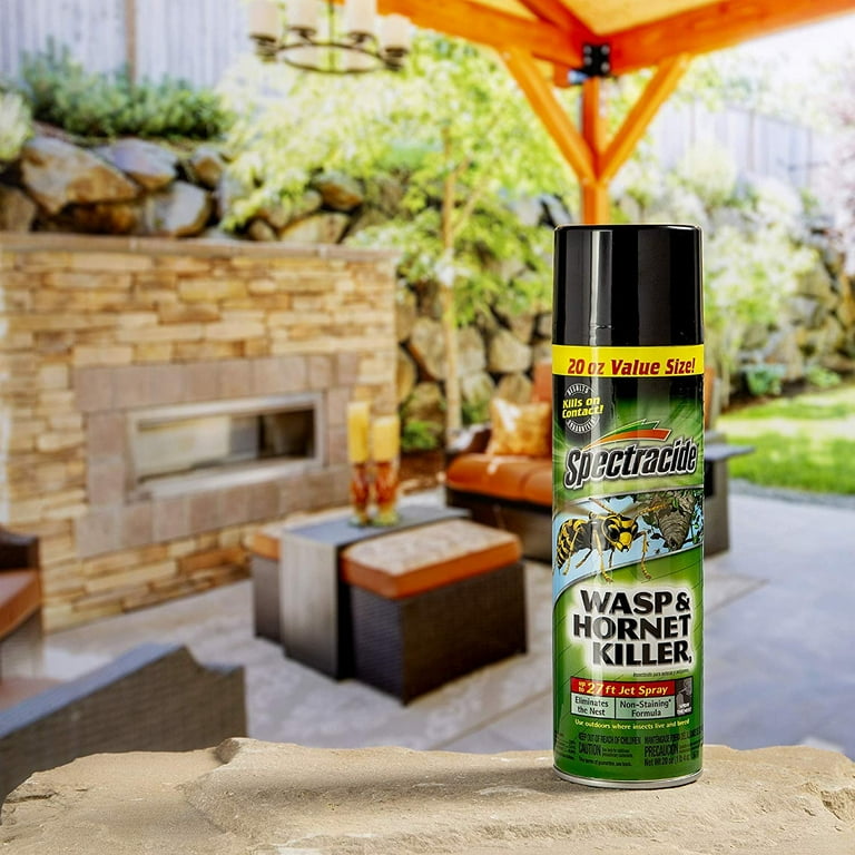 Spectracide Wasp and Hornet Killer Spray, 20 Ounce, 12 Pack, Ant