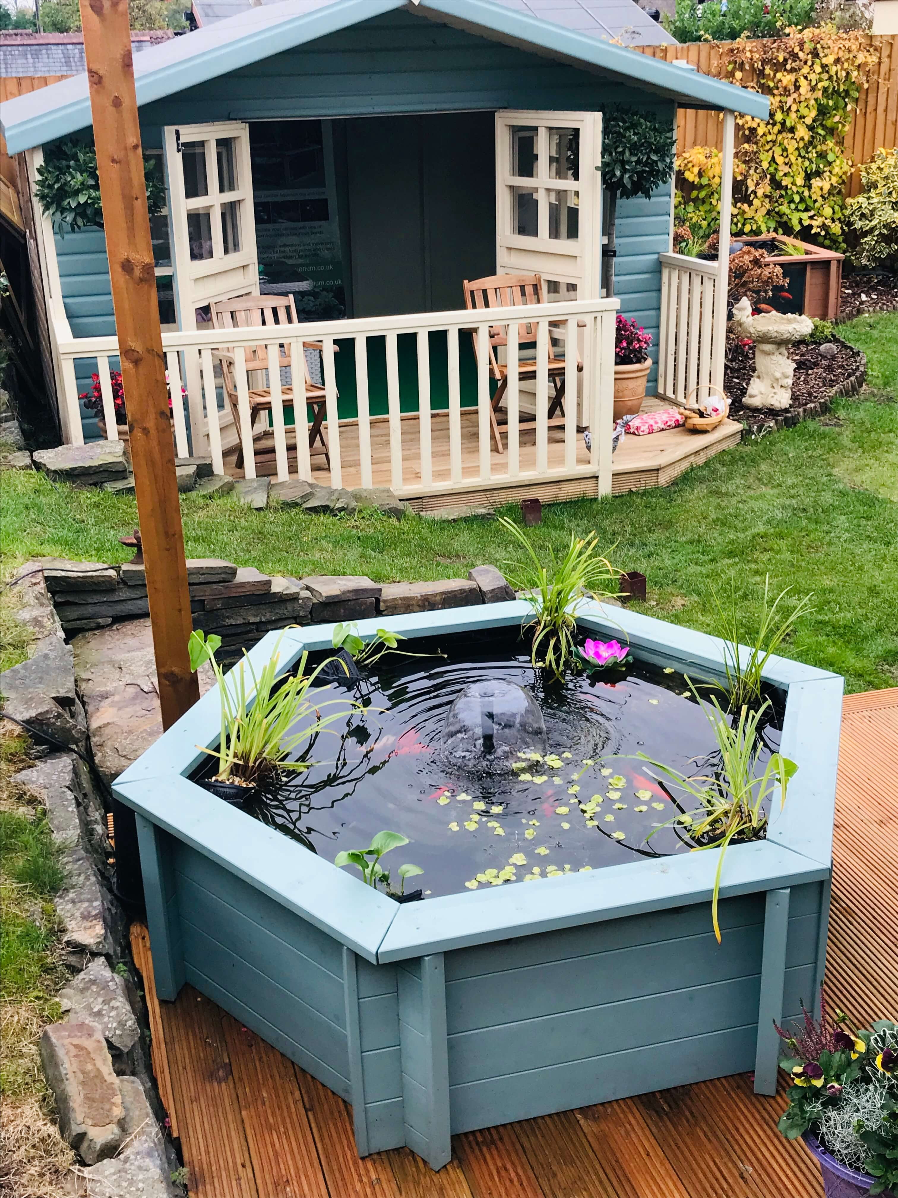 Raised Hexagon Wood Pond with Large Windows  - Lily Clear View Garden Aquarium  in Green 172 Gallon