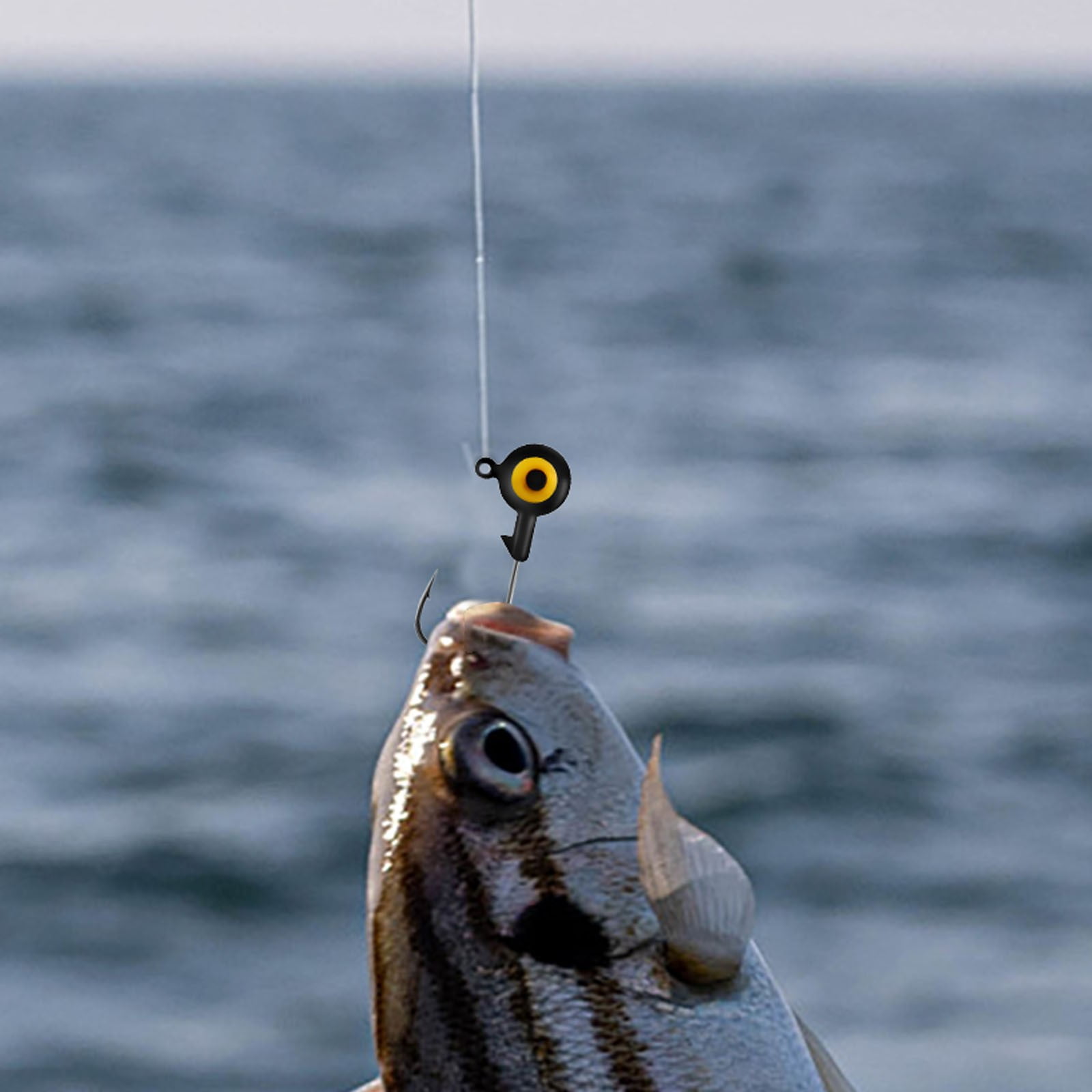Fishing Jig Heads 10-Piece Set - Round Ball Jigs with 3D Eyes | High Carbon Steel Hooks for Bass, Crappie & Walleye | Freshwater & Saltwater Jig Heads for All Fishing Styles