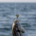thumbnail image 4 of Eye Colorful Heads with Snag Barbed Hooks – Saltwater/Freshwater Fishing Durable Core, 4 of 5